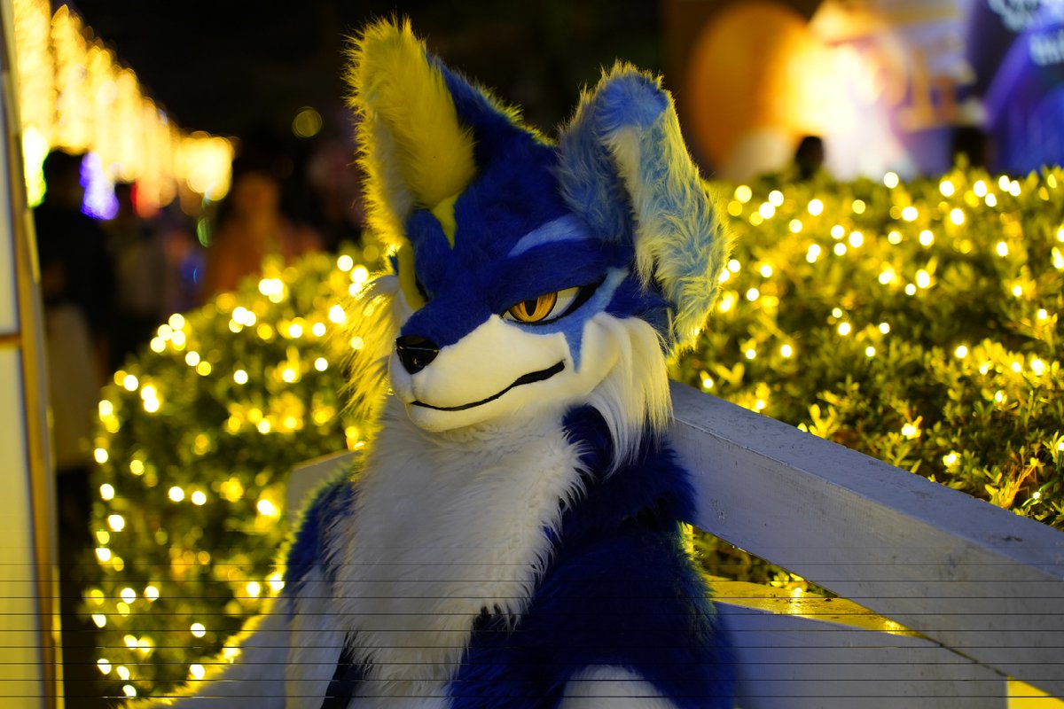 てんりゅー🐺NEXT→未定 (@tenryu_saera212) on Twitter photo 