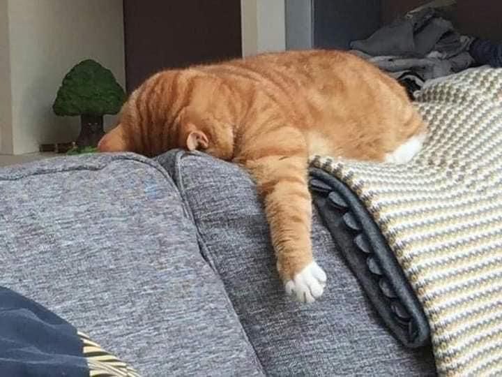 Que tremendo volver a trabajar después de 4 dias