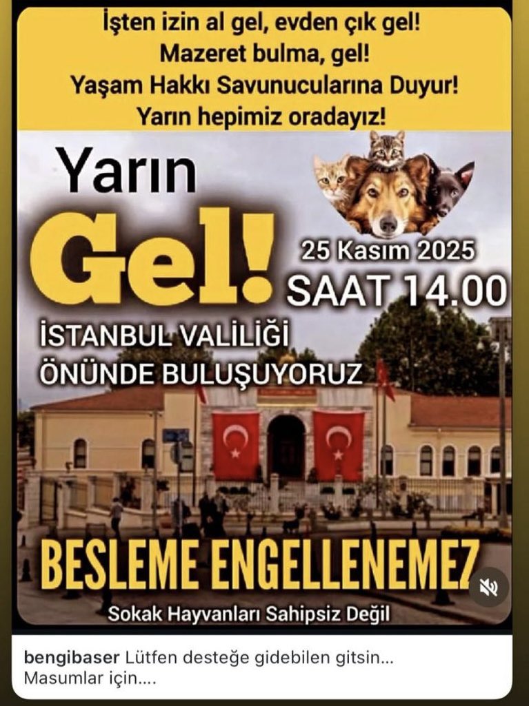 Av_MeltemZorba's tweet image. Biz 20 milyon hayvanseveriz dediler, Valilik önünde otuz kişi toplanmışlar!
Bir bir saydım oradakilerin çoğu polis ve haberciler :)

Arkasında en küçük bir toplum desteği bile olmayan bu kitleye göre politika ve uygulama yürütmenin halka ihanet olduğunu herkes anlamıştır artık.…