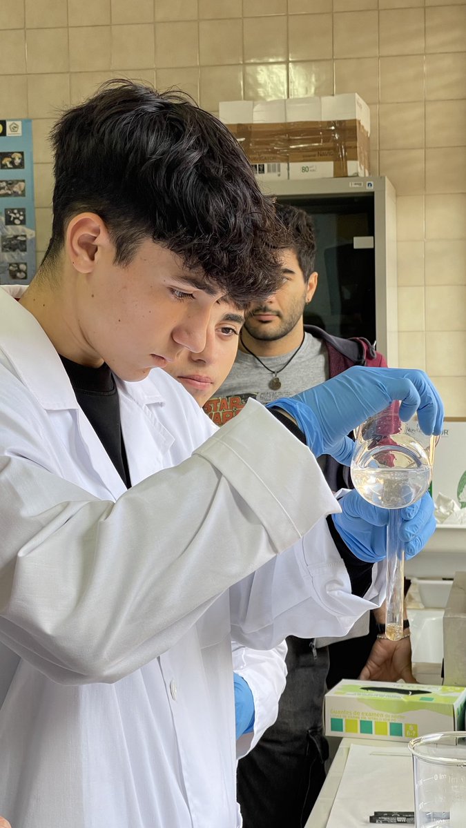 🍄📡 “La WiFi de la naturaleza”: el alumnado de 1.º BIE del IES Los Sauces investiga las micorrizas en la Universidad de León. 🌱🔬
#BIE #BIE1 #tallerbiología #micorrizas #somosBIEsomosCiencia #ieslossauces #benavente #unileon <a href="/sauces49000391/">IES LOS SAUCES</a> <a href="/unileon/">Universidad de León</a>