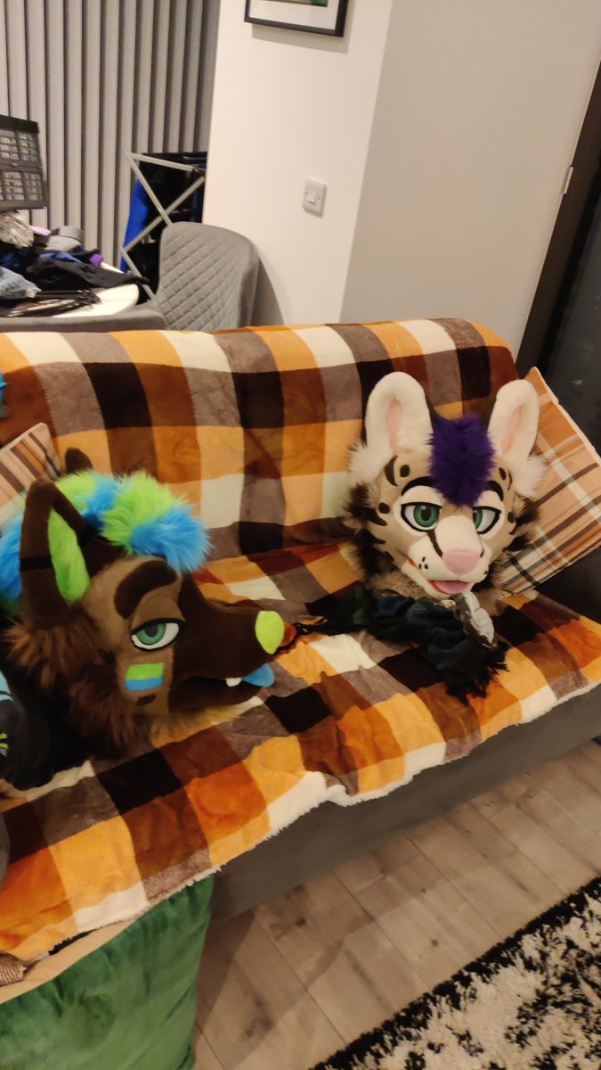 idiot couch cushions 🥰🥰🥰 <a href="/Shep_Dex/">ShepDex</a>