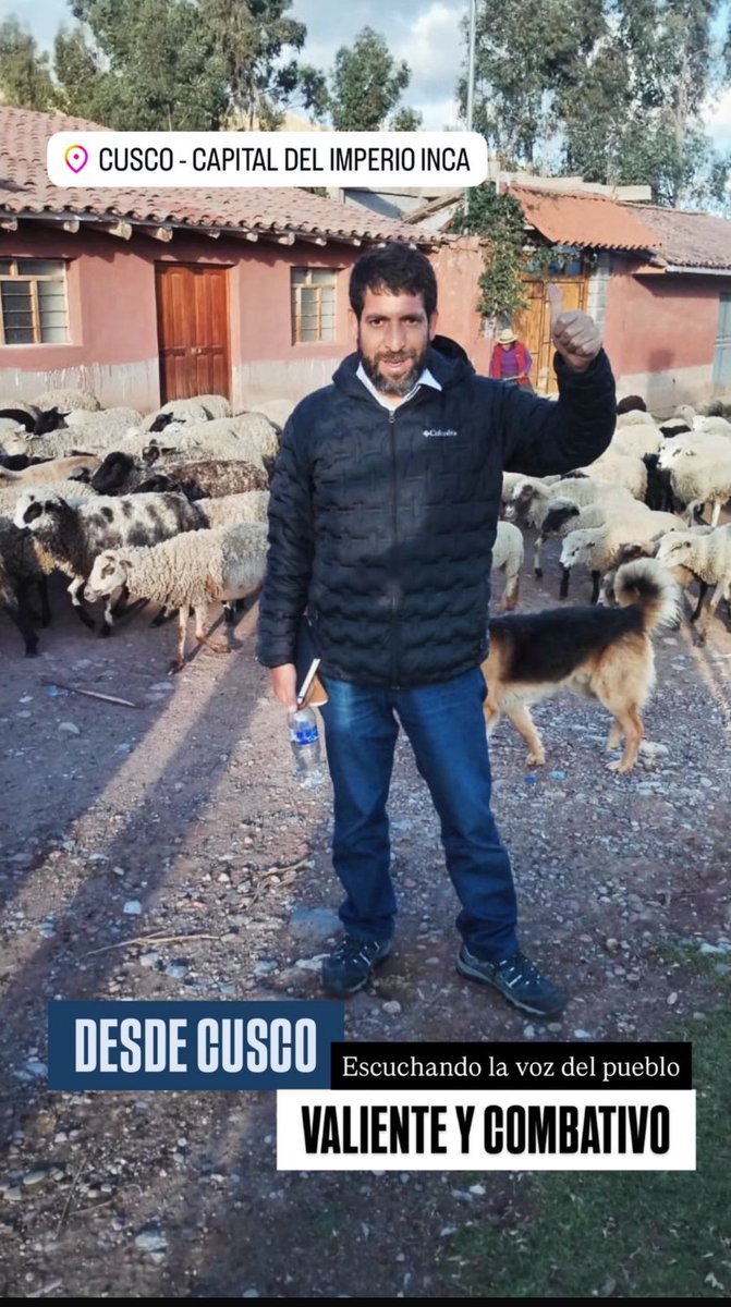 Raúl Noblecilla Olaechea tweet media