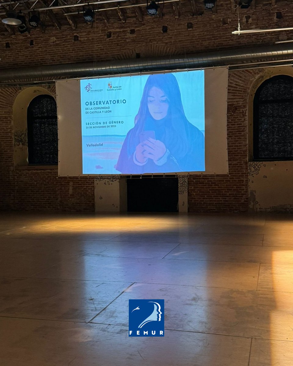 Coincidiendo con el Día Internacional de la eliminación de la Violencia contra la Mujer participamos en Valladolid en un encuentro de la Sección de Género del Observatorio de la Comunidad de Castilla y León.