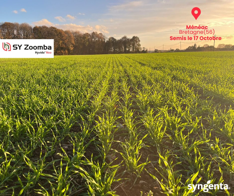 SyngentaFrance tweet media