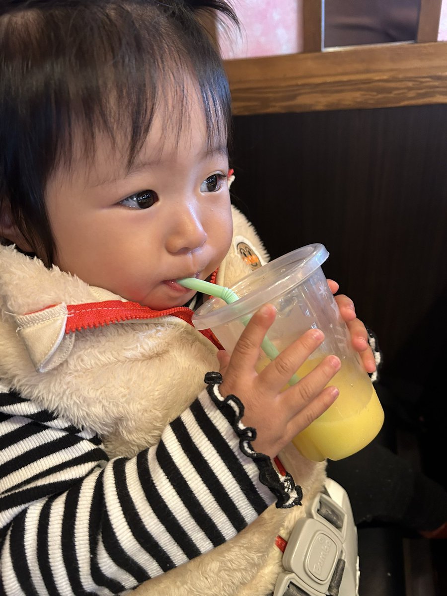 giants8180's tweet photo. こう見るとお姉ちゃんにそっくり
#ちびけん2号 https://t.co/1xwGP1VQJI