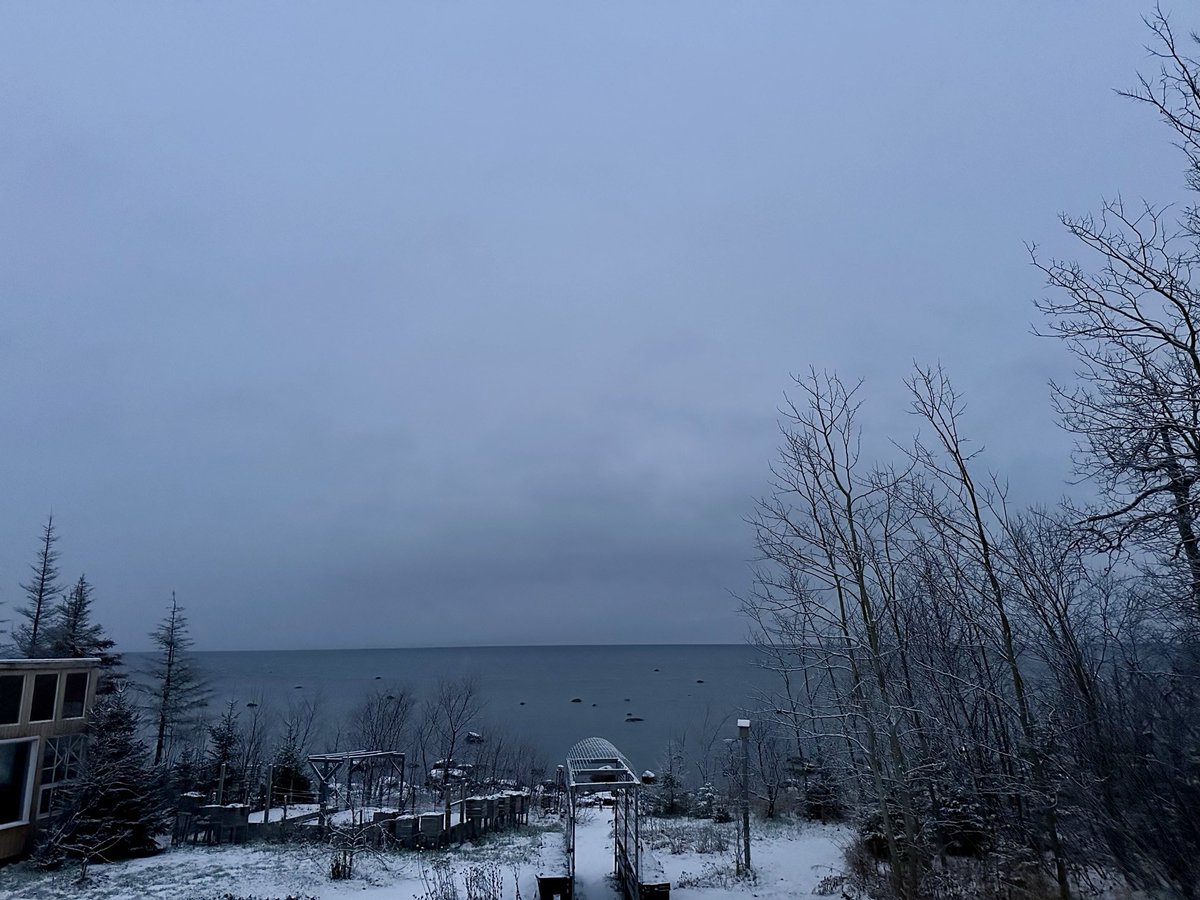 btleparadis's tweet image. Bon matin ❄️❄️❄️