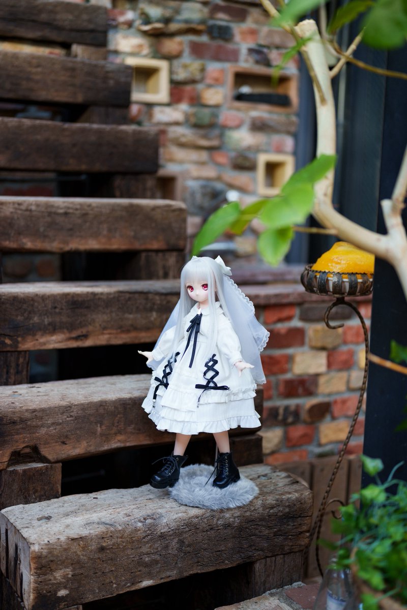 おにんぎょさん💓

#じぇい式撮影会
#アゾカツ #アイコレプチ