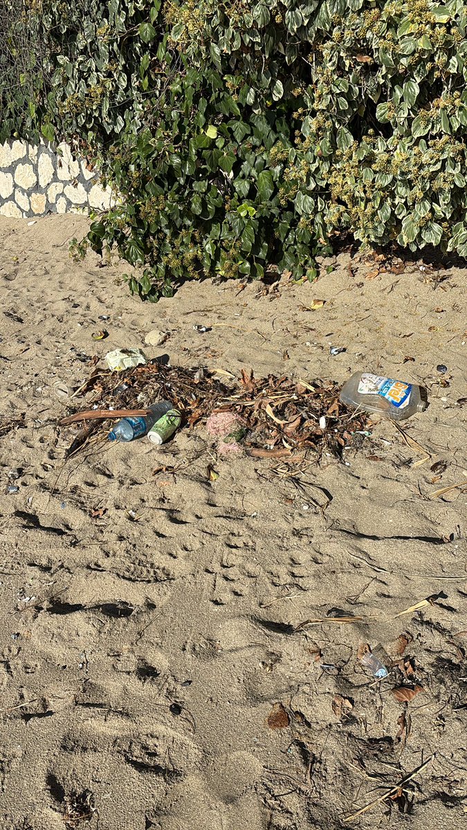 BOZBEKA's tweet photo. Lodos denizdeki  plastikleri dışarı atmış. Ekipleriniz gelse toplasa geri dönüşüme gönderse çok medenice olmaz mı? Bütün sahil plastik atık dolu semt sakinleri olarak hepsini toplayabilmemize imkan yok @BuyukcekmeceBld https://t.co/vDivlD9ApT
