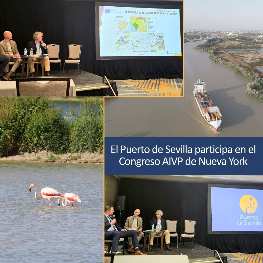 🟧 Hemos participado en la Conferencia Mundial 'Ciudades y Puertos' de la <a href="/aivp_net/">AIVP</a> en Nueva York. 

🟦 El director del <a href="/PuertoDeSevilla/">Puerto de Sevilla</a> ha compartido el proyecto de 𝐞𝐜𝐨𝐧𝐨𝐦𝐢́𝐚 𝐜𝐢𝐫𝐜𝐮𝐥𝐚𝐫 que revalorizan los sedimentos extraídos durante los dragados sostenibles.