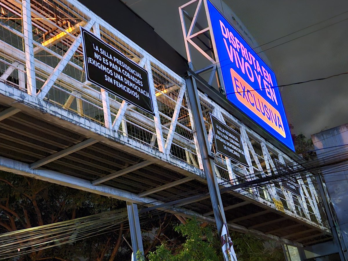 Reportar Sin Miedo tweet media