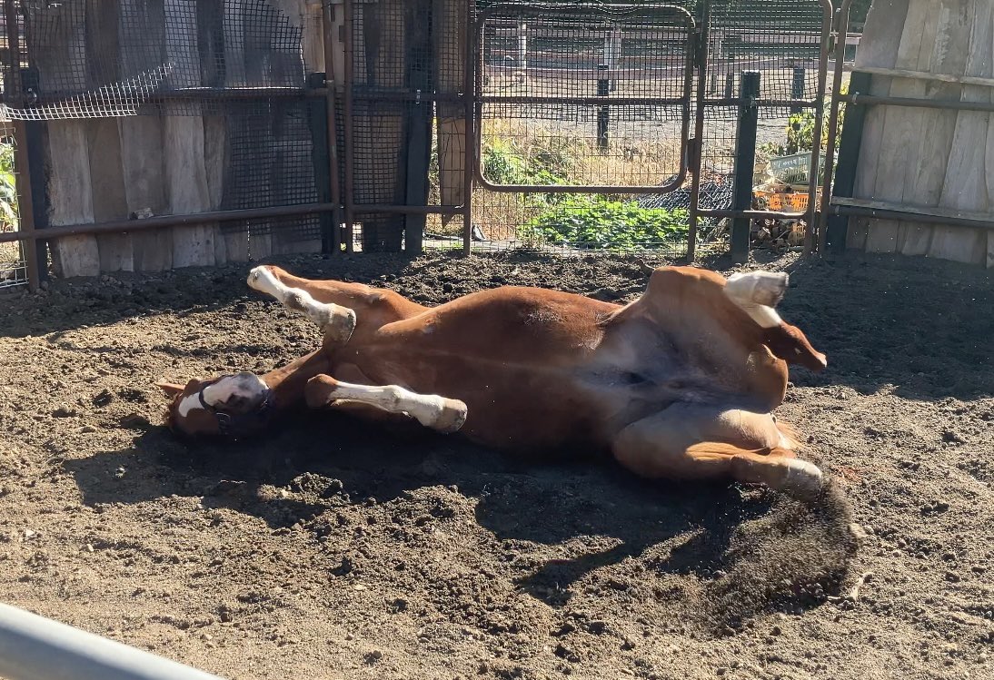 This is what I need today.