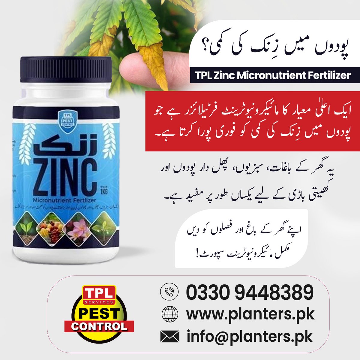 TPLPestControl's tweet image. یہ فوری طور پر زِنک کی کمی پوری کر کے پودوں کی بہترین گروتھ میں مدد دیتا ہے۔

📞 Call: 0512303380
🌐 website: planters.pk
#TPLZinc #Micronutrient #Fertilizer #ZincDeficiency #HealthyPlants #GardenCare #PlantNutrition #PakistanAgriculture #TPLPestControl #GrowBetter