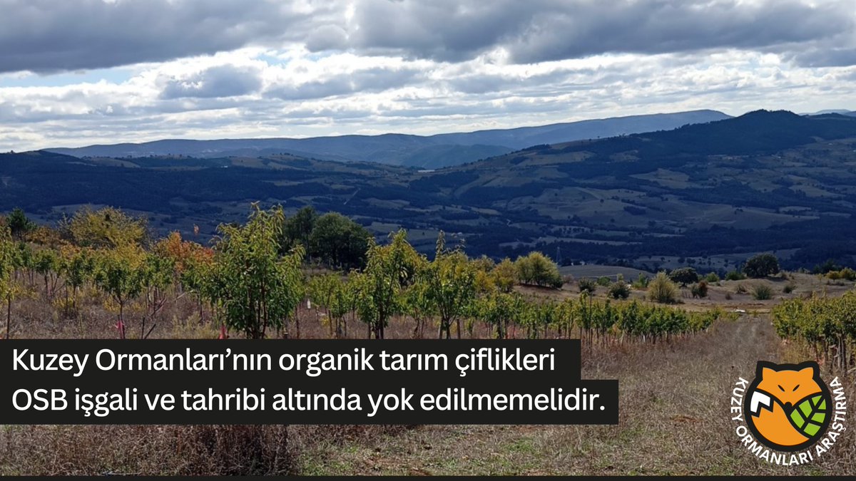 "Bir organik çiftliğimizin yok oluş hikayesi!"
...
Kuzey Ormanları'nın Kılıçkaya dağı eteklerinde Sabırlar ve Poydalar köyleri mevkilerimize yapılmak istenen Geyve Gıda İhtisas OSB:

Tarım arazilerimizi, bereketli topraklarımızı geri dönülmez biçimde yok edecek,

Yeraltı