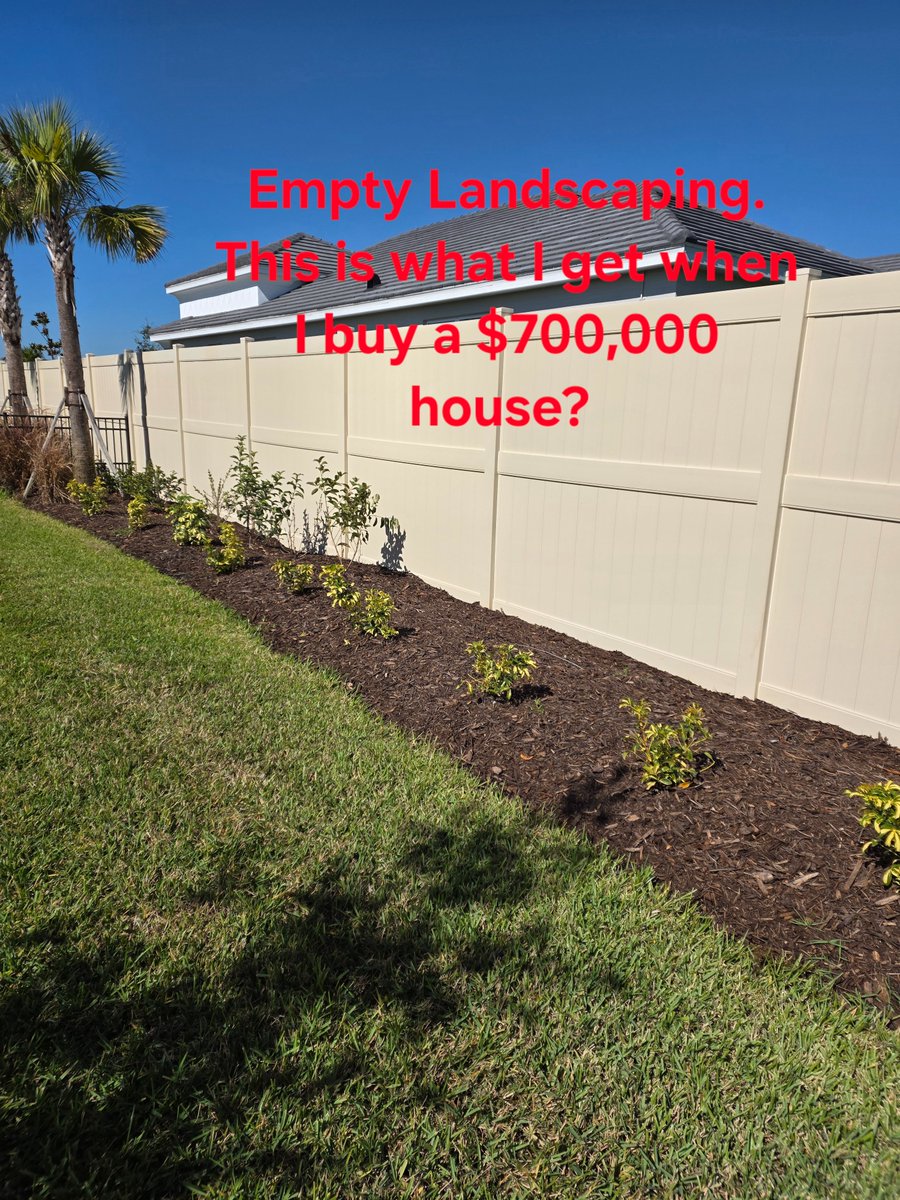 BZimm1966's tweet photo. @Taylor_Morrison I am a frustrated homeowner. The landscaping in the common area behind my house at Esplanade at Wiregrass Ranch in Wesley Chapel, FL. 
I have been attempting to resolve this issue for almost 12 months, but unfortunately, I have not seen any progress. https://t.co/WWijLwTdba