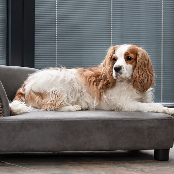 Border Plant Sales Ltd tweet media