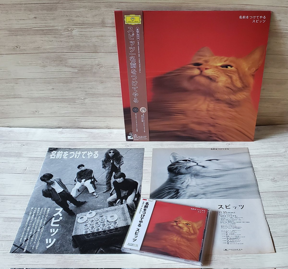 Basilsalt_spitz's tweet photo. スピッツ2ndアルバム『名前をつけてやる』発売34周年🐱
初期のアルバムの中でも特に名盤と呼ばれてます💿✨

猫のこのみちゃんが可愛いジャケット🐱❤
1stはヒトデだったから『顔』が恋しくて猫にしたんだとか（赤はマサムネさんの好きな色だから）
歪ませた写真もユーライア・ヒープの影響だそう🤭 https://t.co/Sqx6uKPcrk
