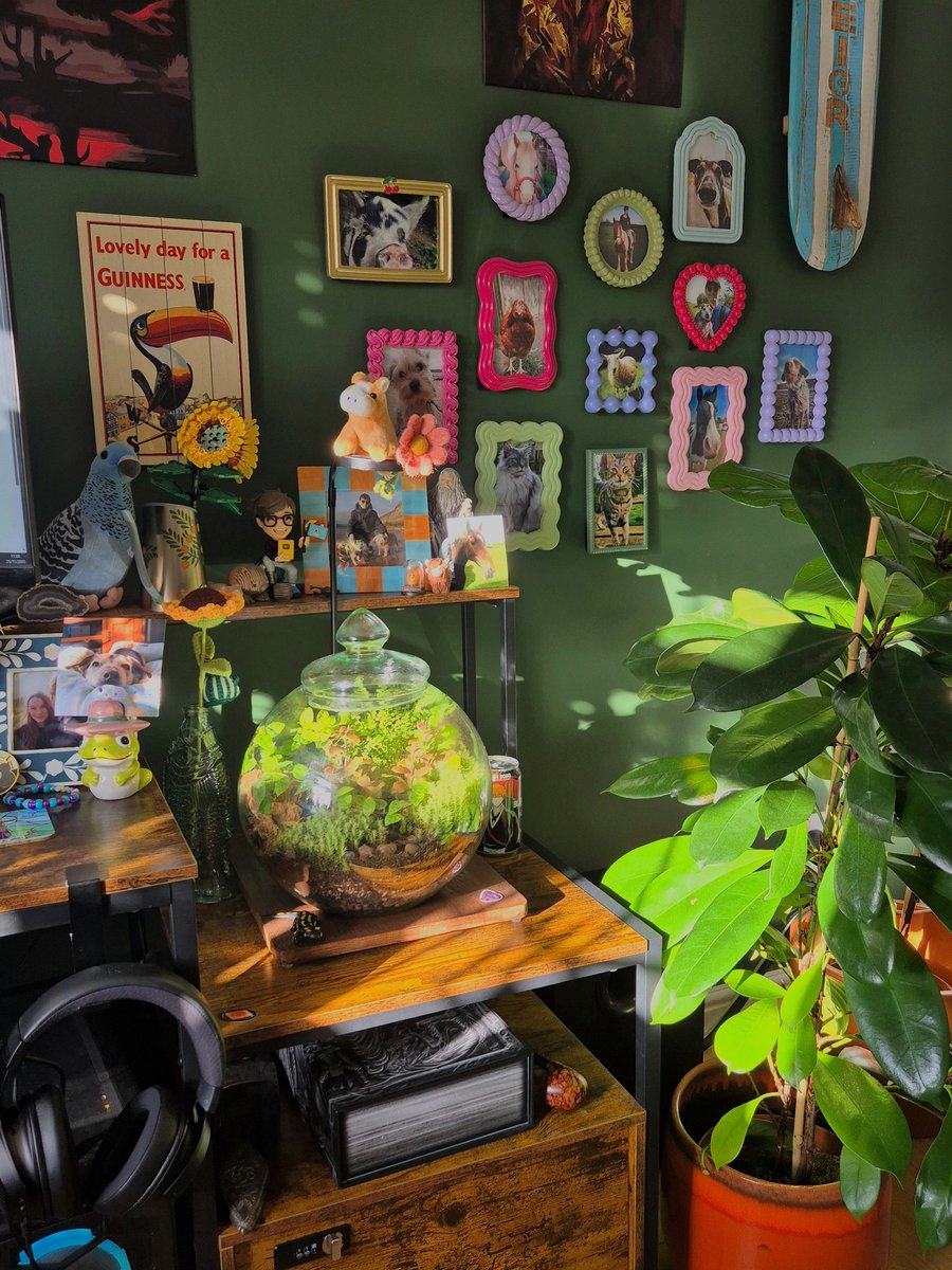 Becky Taylor tweet media