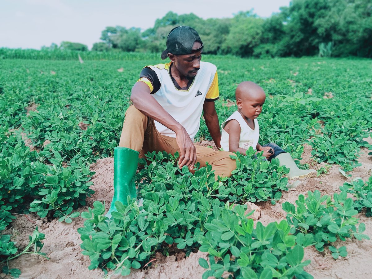 Mazikuagric's tweet photo. Tukichoka Tunapumzika
#OnTheFarm https://t.co/T0GLf0URYU