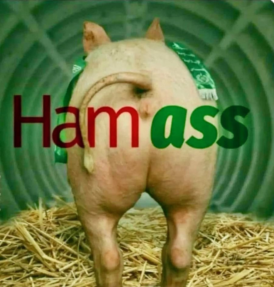 <a href="/IslamInvasion/">Islam Invasion 🚨</a>