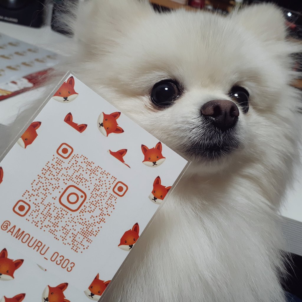 新しいブランドを立ち上げました🦊
わんこ、にゃんこ用のおやつなんかを販売予定してます……
何卒……(  . .)"