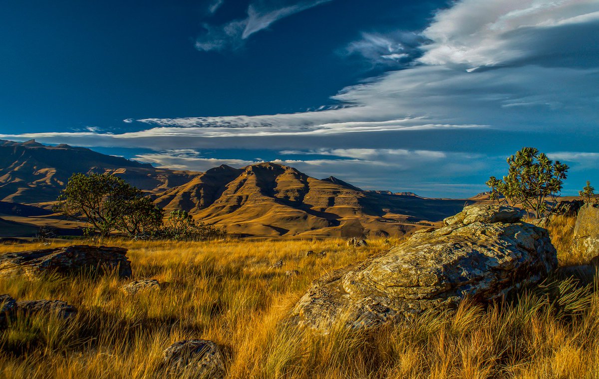 “Although I deeply love oceans, deserts, and other wild landscapes, it is only mountains that beckon me with that sort of painful magnetic pull to walk deeper and deeper into their beauty.” – Victoria Erikson
drakensberg.org
📷 Eugene Dey-van Heerden
#SouthernDrakensberg