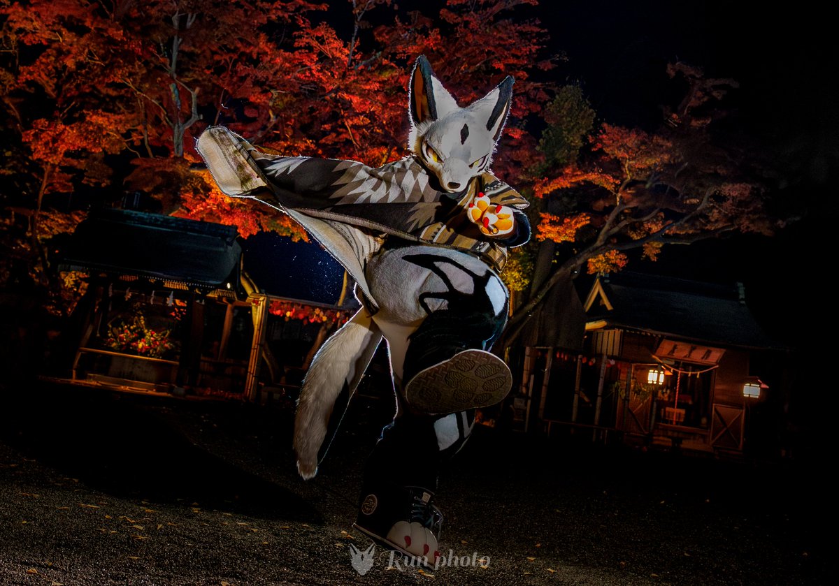 るん るん (Run)→JMoF (@run_charizard) / Posts / X