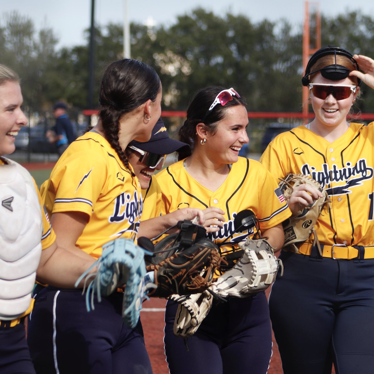 Midwest Softball tweet media