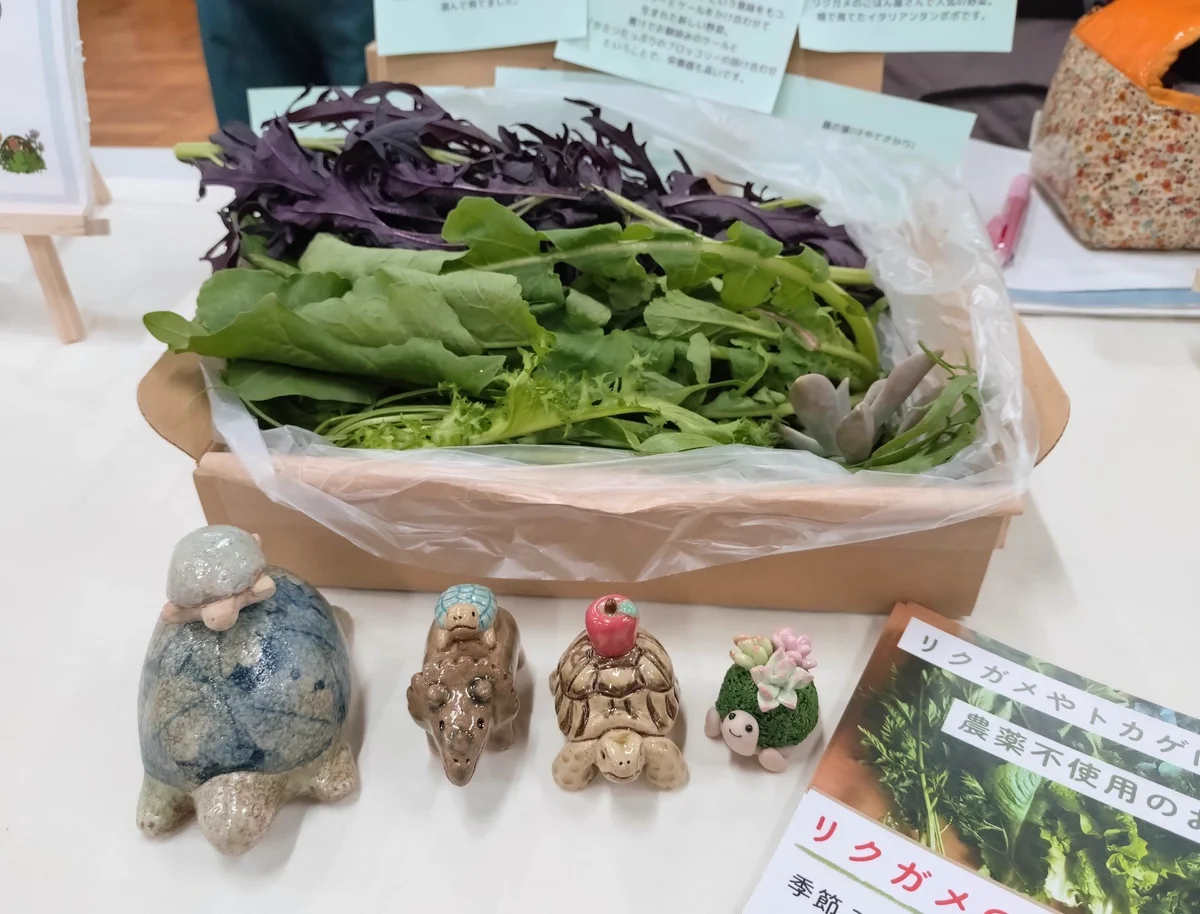 農薬不使用 自然農法 リクガメ 桑の葉 季節の野菜野草の詰め合わせ Reposts by リクガメのごはん屋さん (@rikugamenogohan) / X