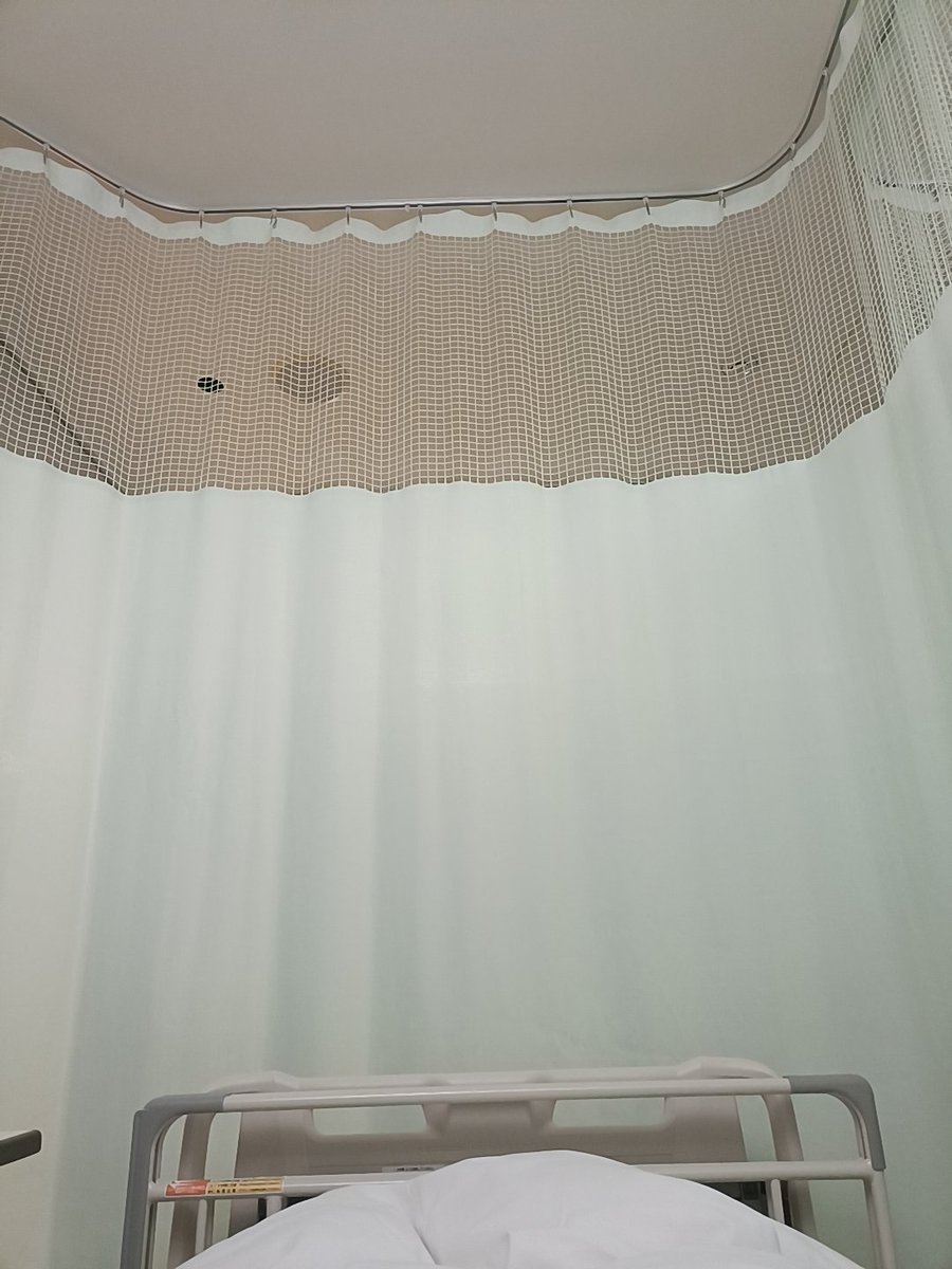 ゆみ　阪神応援日記 tweet media