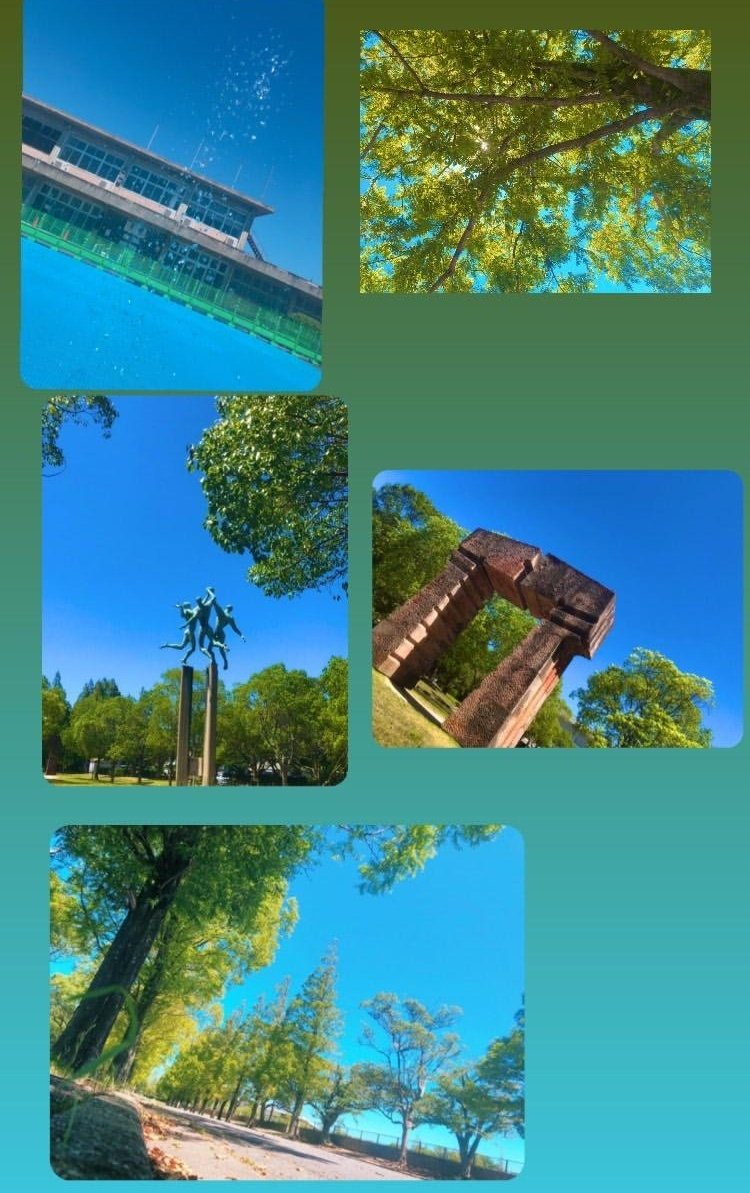 macaron53796's tweet photo. 数年前に撮った写真をインスタから持ってきたせいで画質終わってるけど５０年以上前のカメラでもこんだけ綺麗に撮れるからカメラの世界はほんとに凄いし深いと思ってる https://t.co/xAhUGskImq