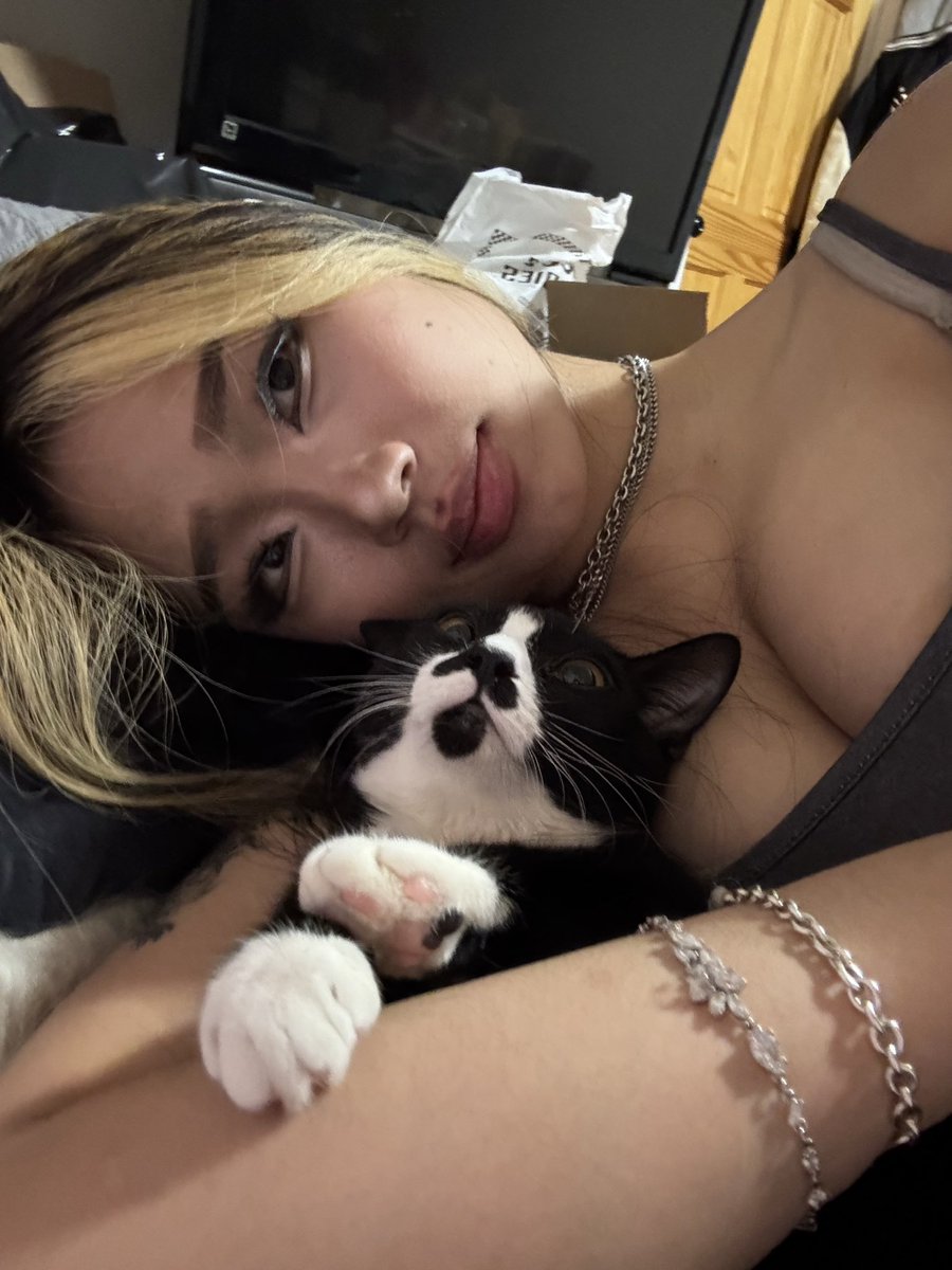 Annie Zheng tweet media