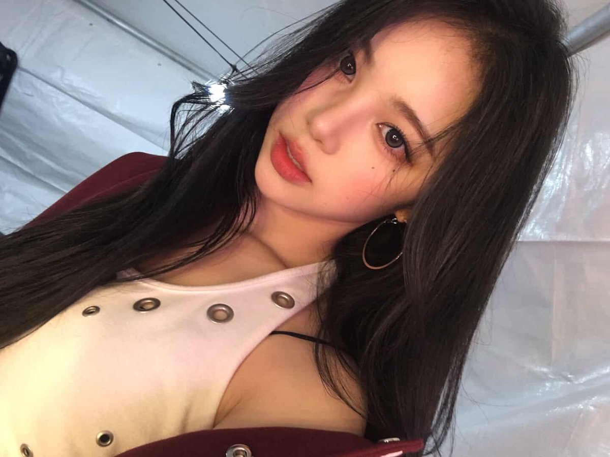 로애 tweet media