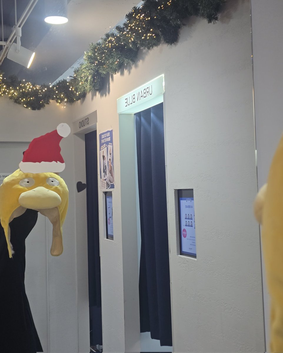 메이누누 tweet media