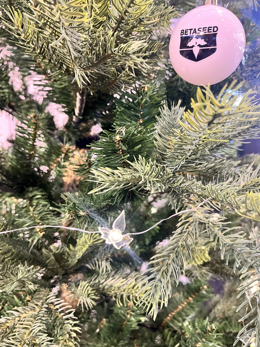 Het team van @Betaseed staat ook dit jaar ook de @RMV te Gorinchem klaar voor u met teeltadvies en rassenkeuze voor 2026.