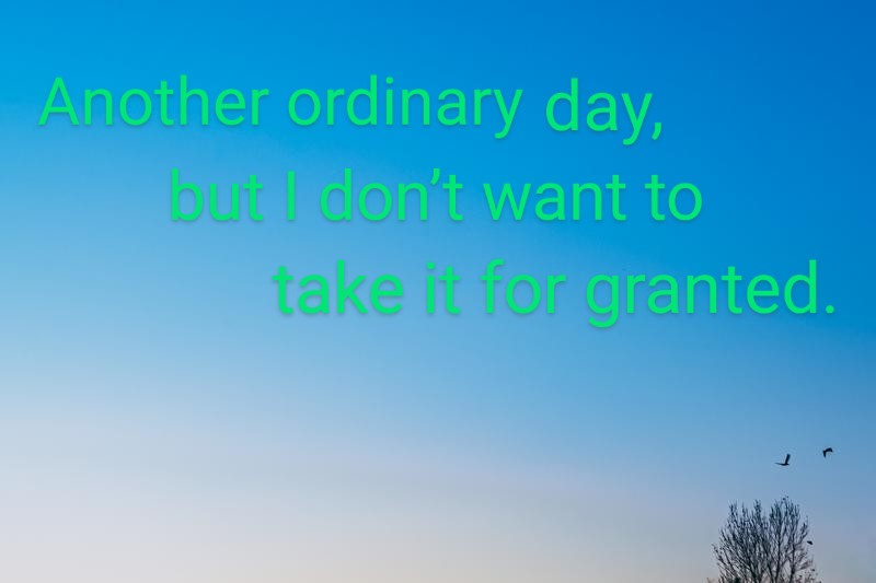 TakuiWrites's tweet image. Another ordinary day,
but I don’t want to take it for granted.

#SoftDays #OrdinaryMoments #DailyThoughts