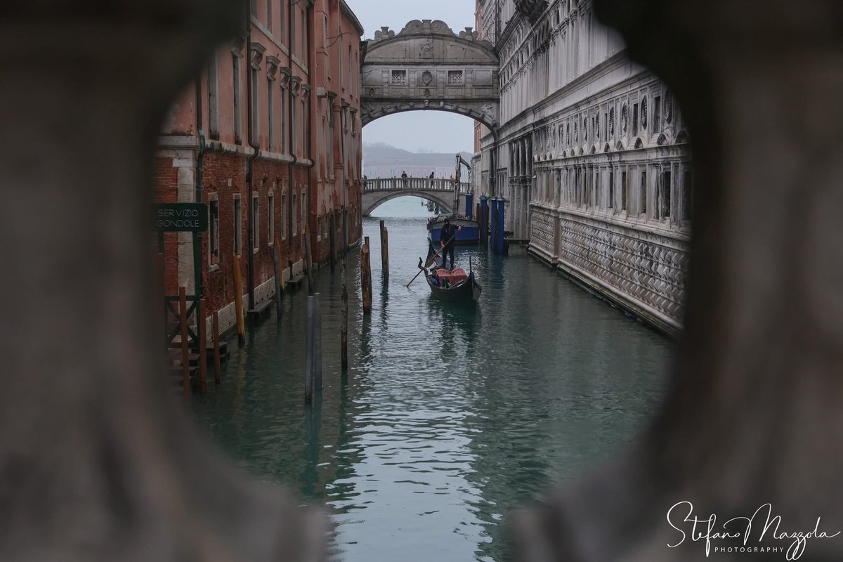 Stefano Mazzola tweet media