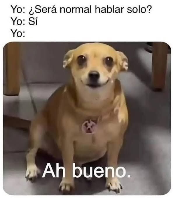 El Meme (@memessv7) on Twitter photo 