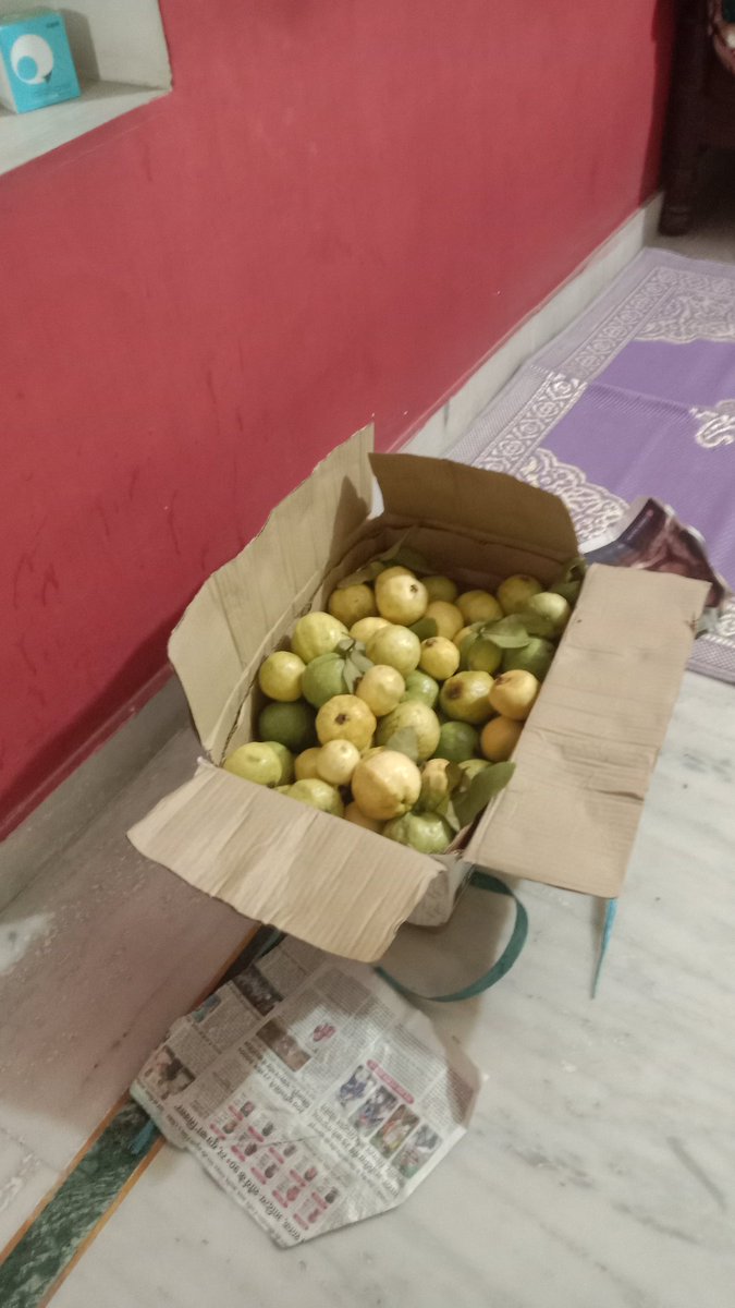 marmat_poo42628's tweet image. आ जाओ अमरुद खाने दोस्तों .... 😋
आपके यहाँ क्या बोलते है इसे  ? 

#GMMTV2026
WILLIAMEST MAGIC VIBES
The Big Fat Fusion
#ValueFundsContest 
#TataSierra