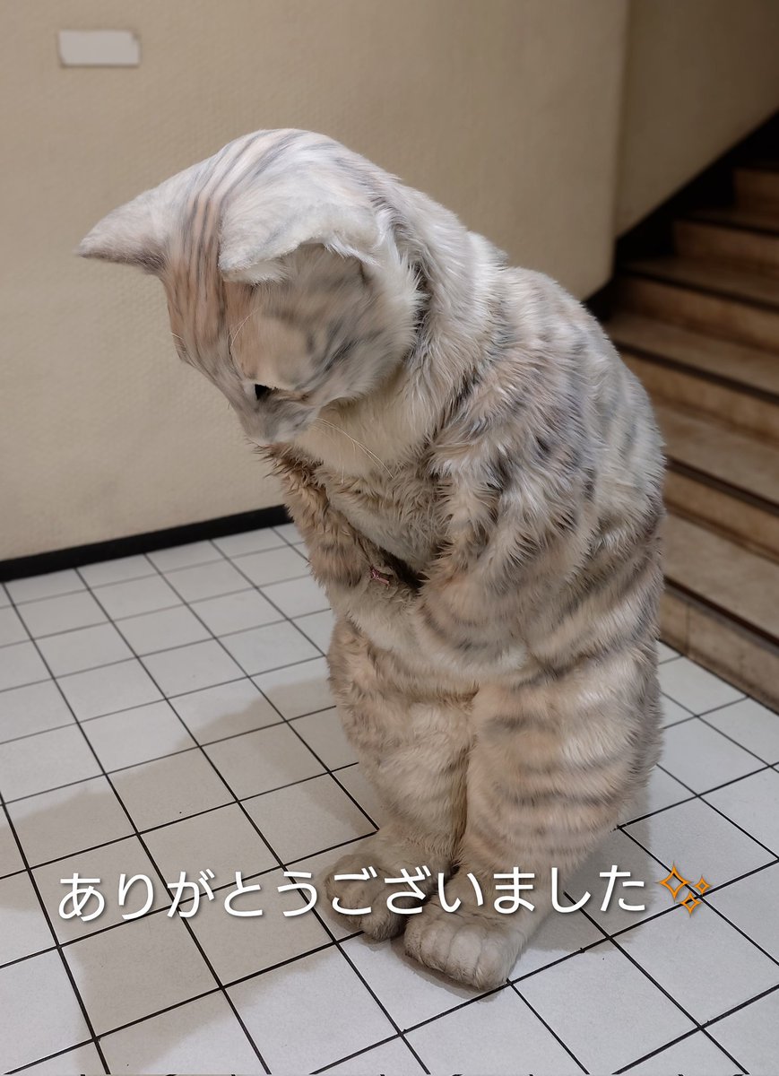 プリン専門店♪坂の上の猫♪ 源田 晃一 【公式】 (@sakanouenoneko1