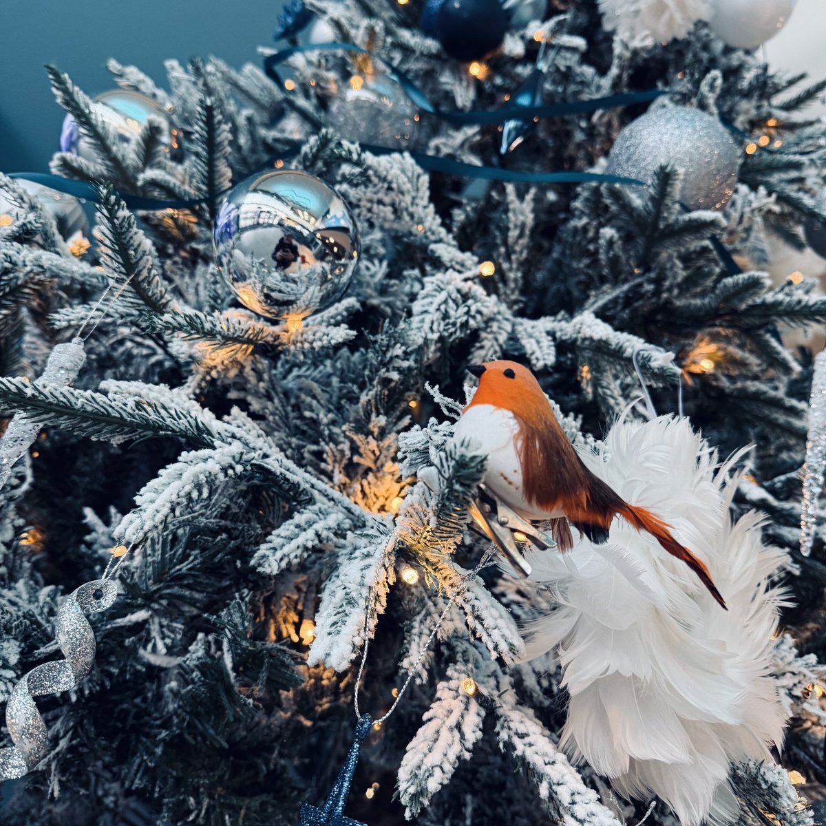 HALO Urban Regeneration Company. tweet media