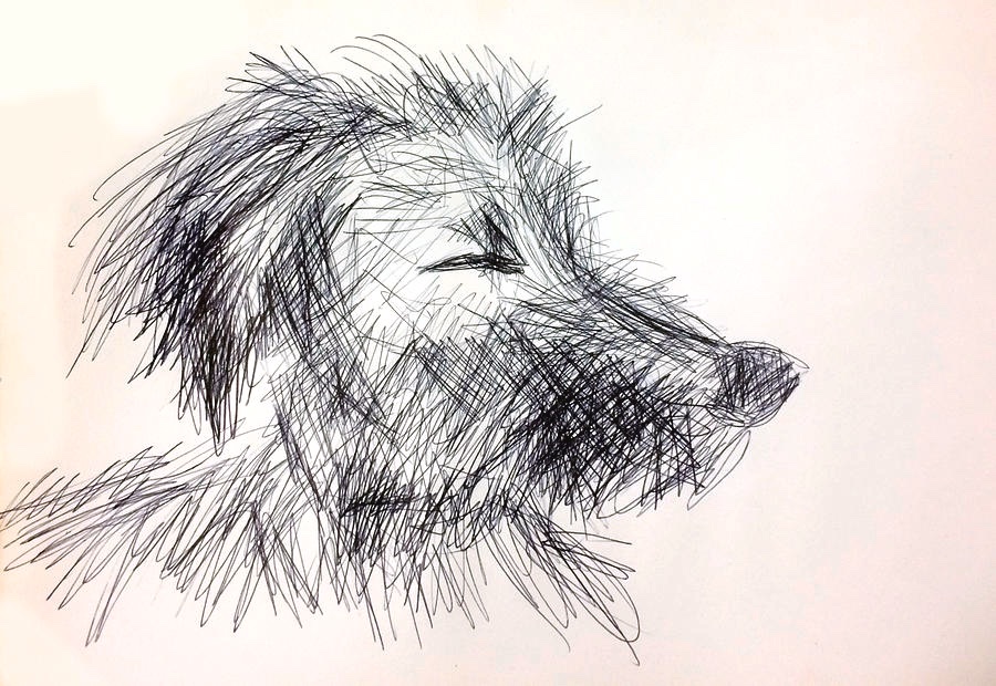 zomboscasa's tweet image. Check out this new drawing that I uploaded to paul-sutcliffe.pixels.com! paul-sutcliffe.pixels.com/featured/mr-bo… #pooch #paulauster #DogsLover