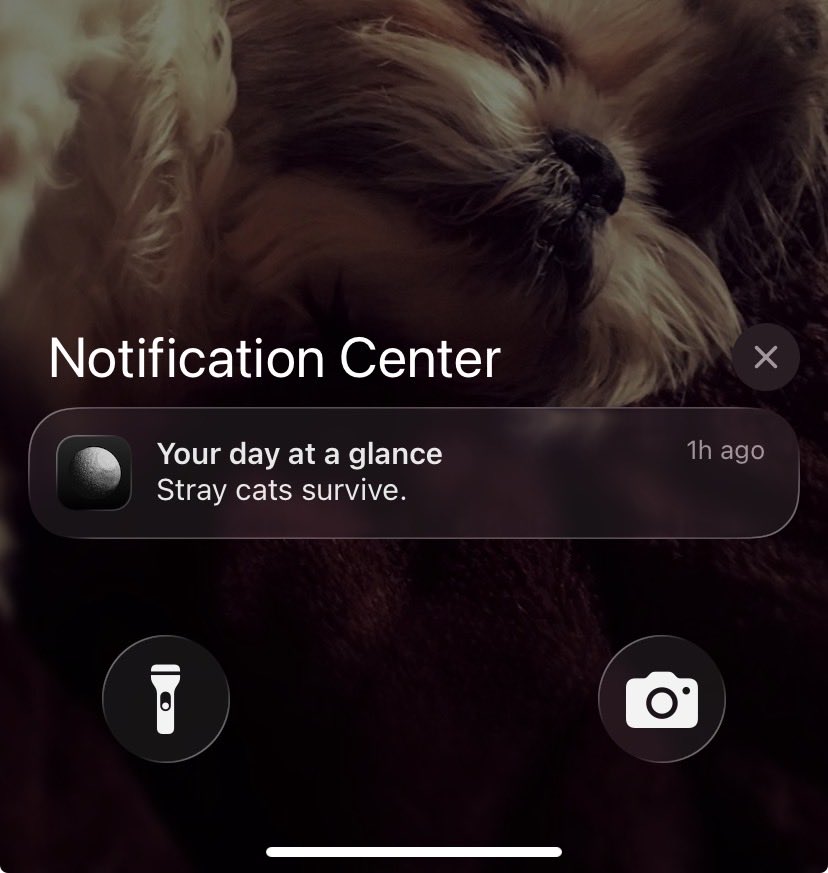 You want a piece of me Co-Star???