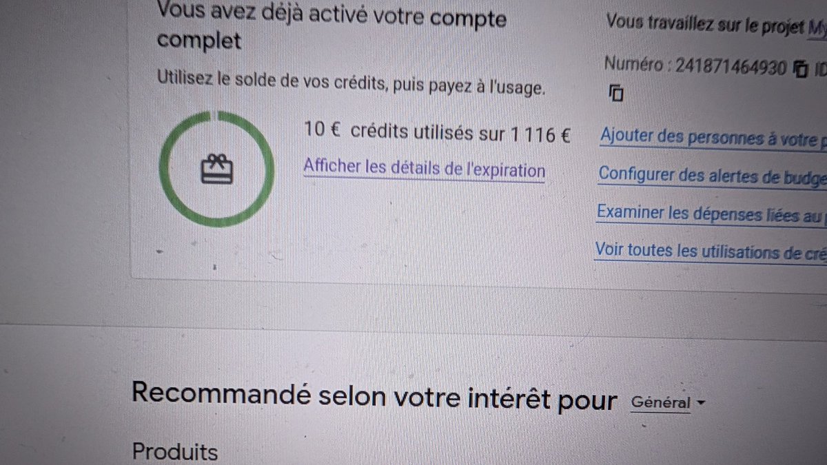 faalseee's tweet image. merci a google qui me donne 1000 balles de credit pour faire ma recherche 😻😻