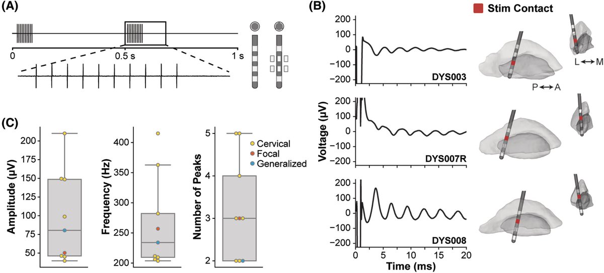 Joshua Wong tweet media