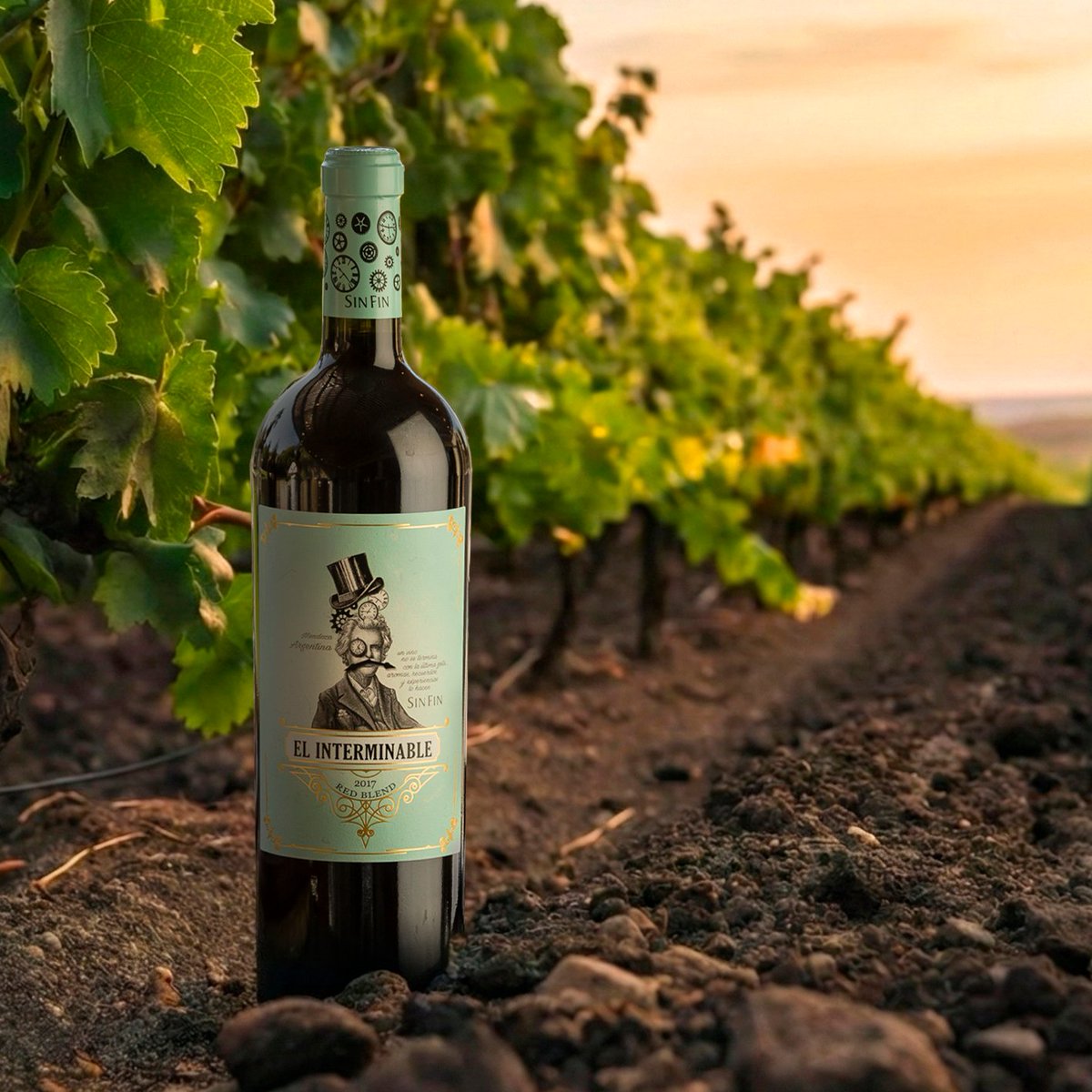 Bodega SINFIN tweet media