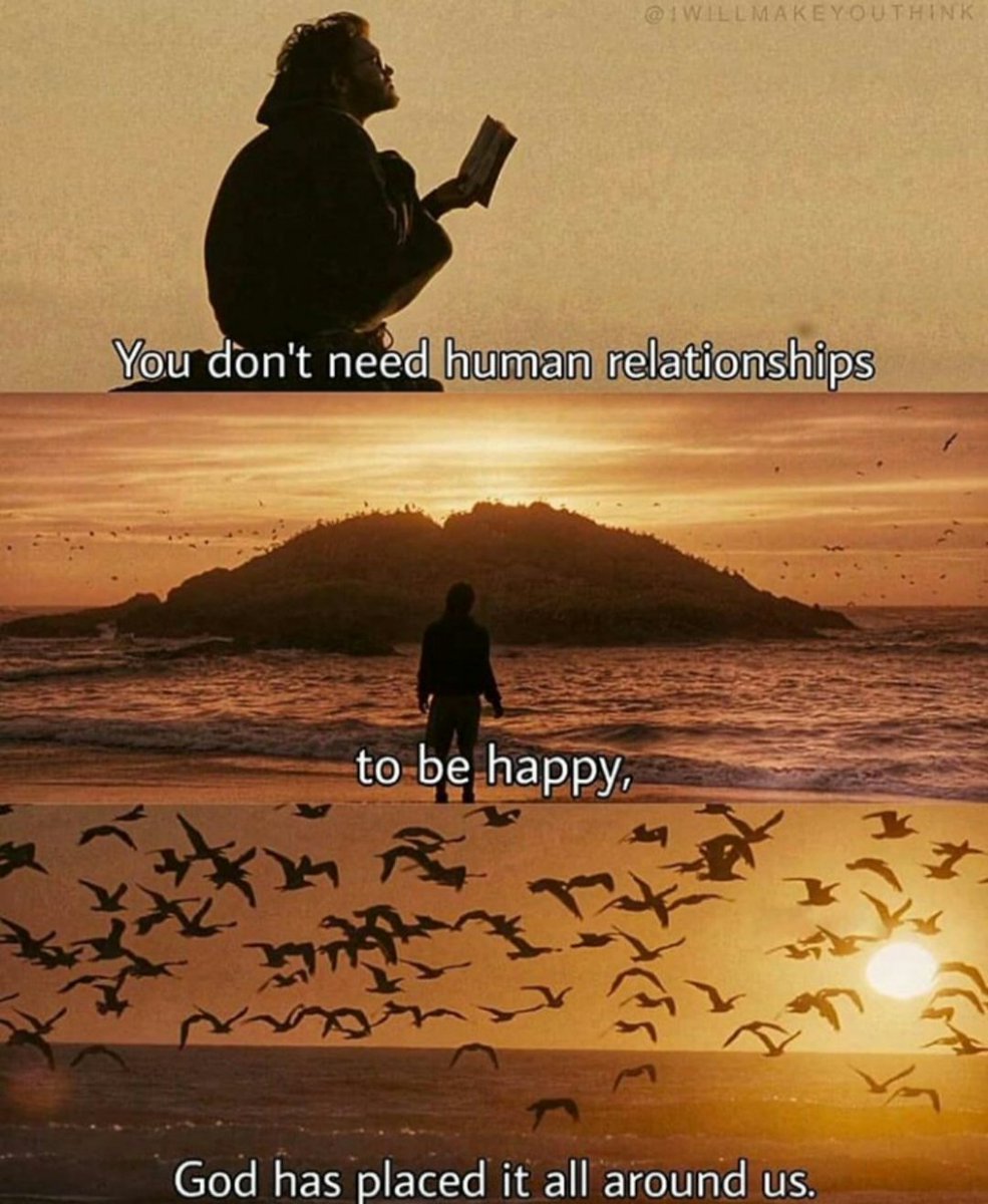 frameversehq's tweet image. 