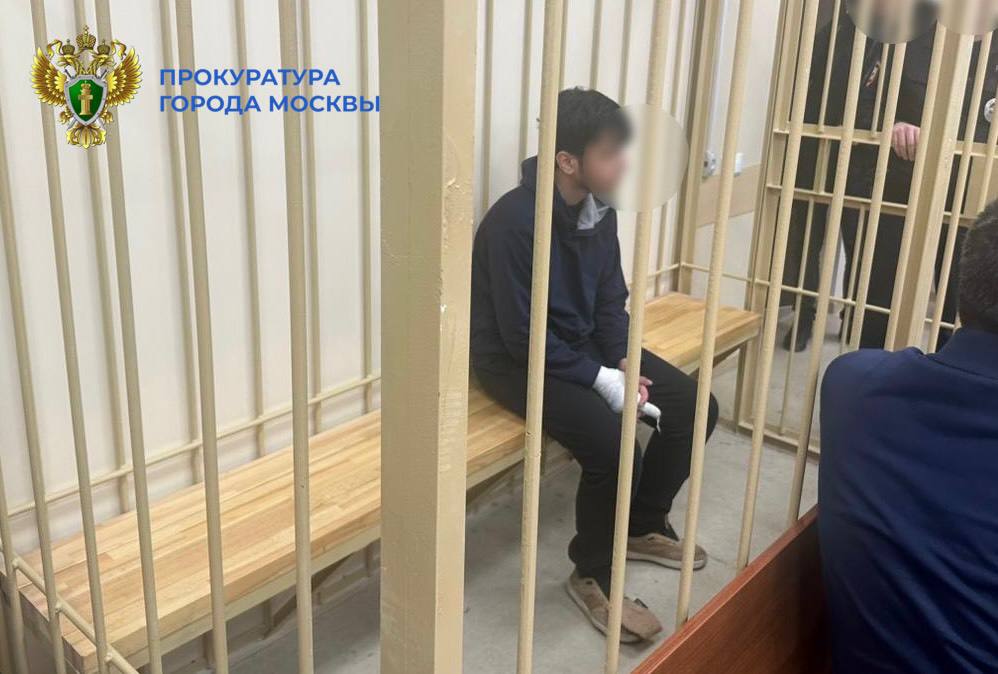 tass_ussr's tweet image. Мигранта-подростка, напавшего на охранника и полицейских в столичном ТЦ, заключили под стражу 

Суд заключил под стражу 16-летнего мигранта, ранившего в Москве ножом охранника ТЦ «Домодедовский» и напавшего на двух полицейских во время своего задержания. Сторона защиты попросила…