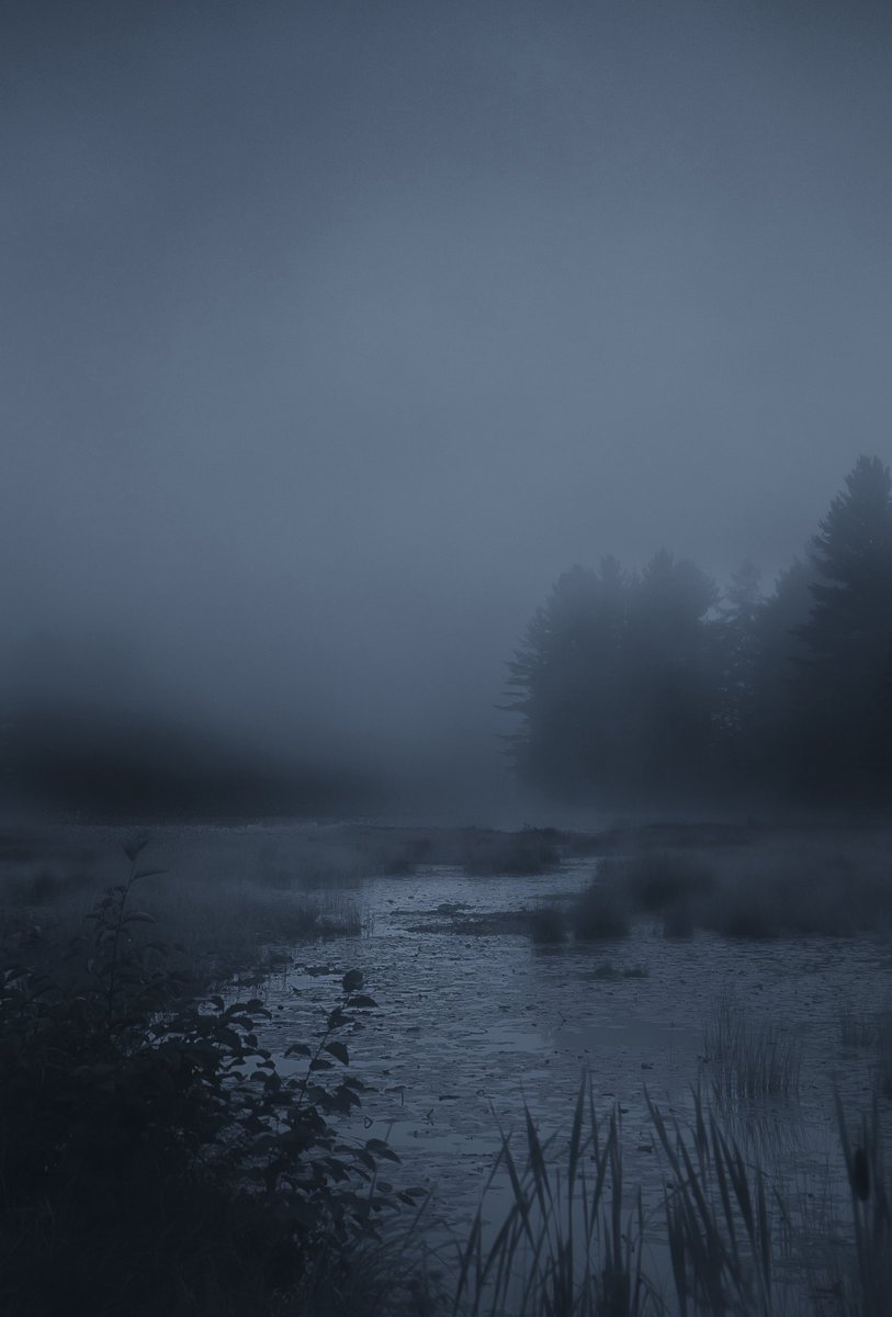 Loki Highlock (@lokihighlock) on Twitter photo 