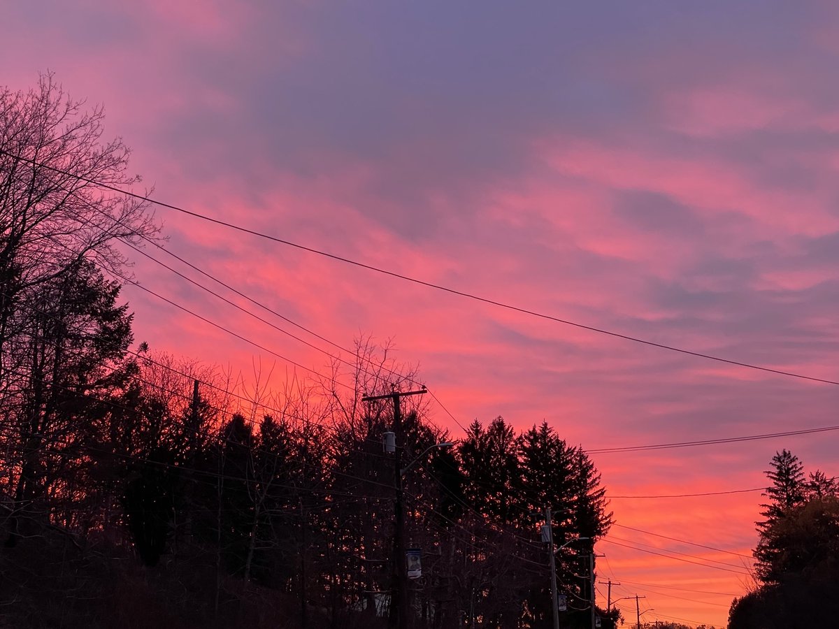 Stopped in my tracks by the sunrise. Soft pink, then gold over the trees.

You know those moments when the sky feels like it’s waking up on purpose? That was today.

Good morning.

#sunrise #morninglight #nature #today #skymoment