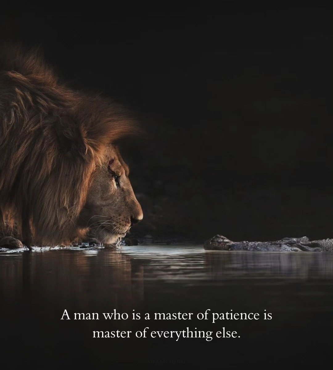 DearS_o_n's tweet image. A patient man is powerful.